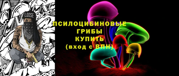 сатива Мегион
