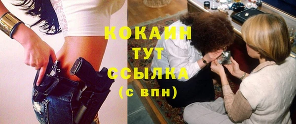 сатива Мегион