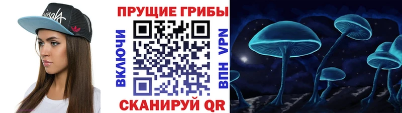 Псилоцибиновые грибы Psilocybe  купить наркоту  Гаджиево 