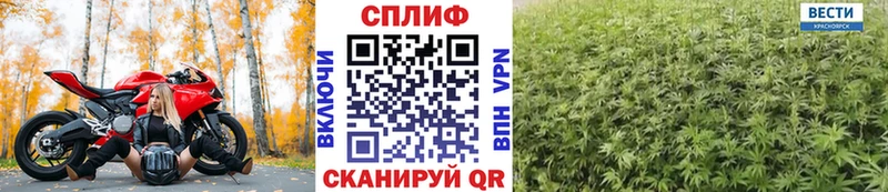 Шишки марихуана план  Гаджиево 